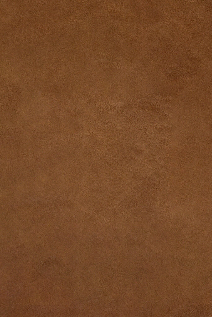 Vue rapprochée d'une surface de cuir brun lisse avec une texture subtile et des variations naturelles, rappelant la riche finition Old Saddle des repose-pieds N701.
