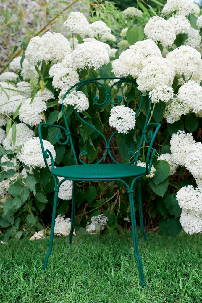 Une chaise en fer forgé vert entourée de fleurs blanches.