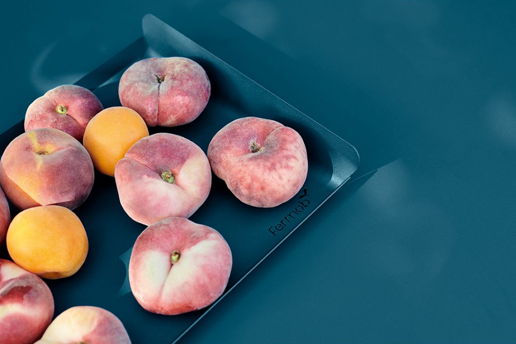 Un plateau de pêches et d'oranges sur une surface bleue.