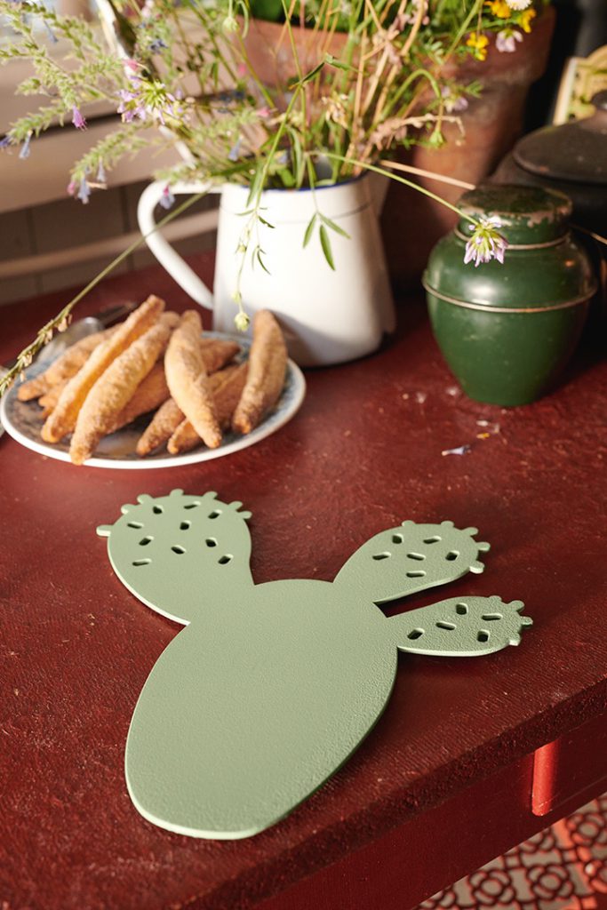 Un cactus sur une table.