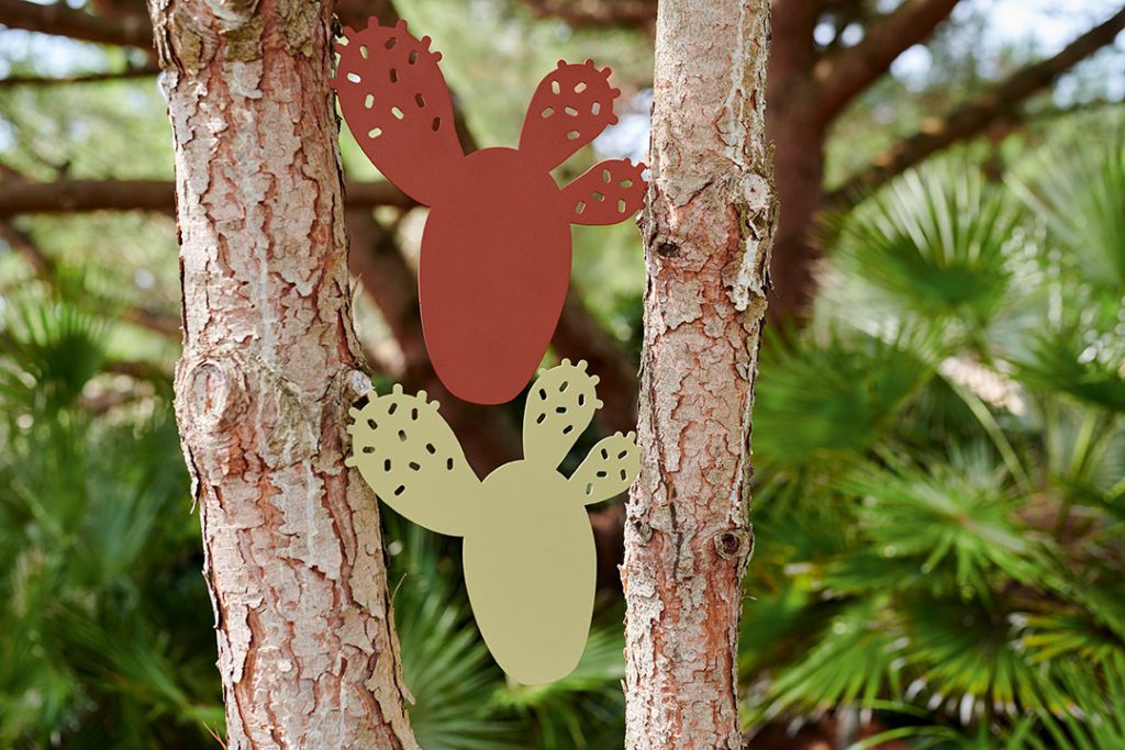 Deux découpes de cactus suspendues à un arbre.