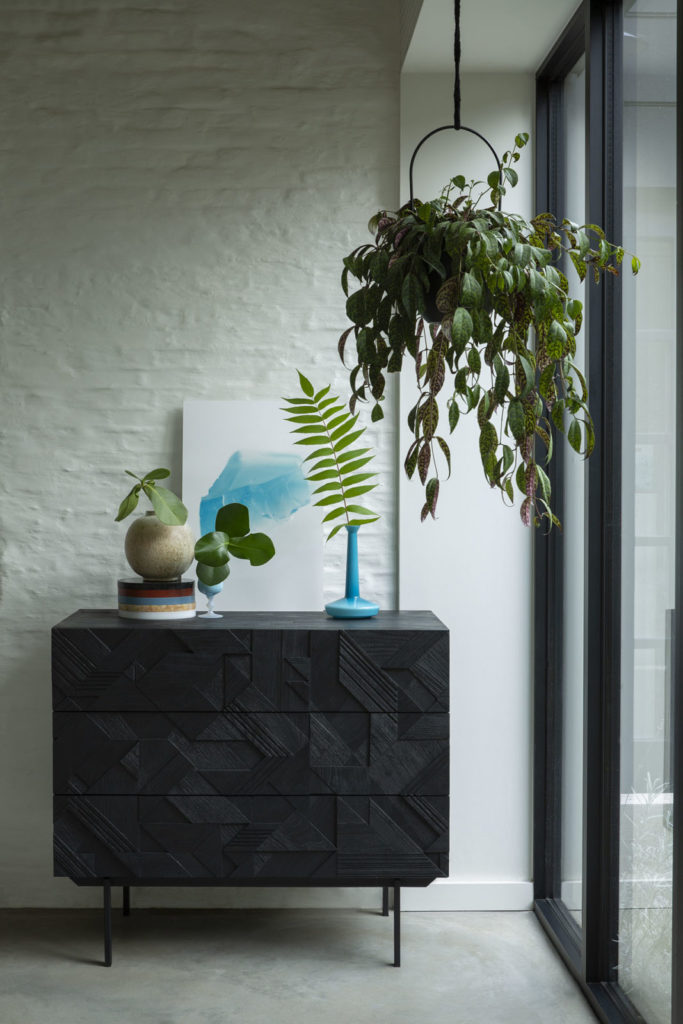 Une Commode Graphic en teck noir avec devant elle un arrangement végétal graphique.