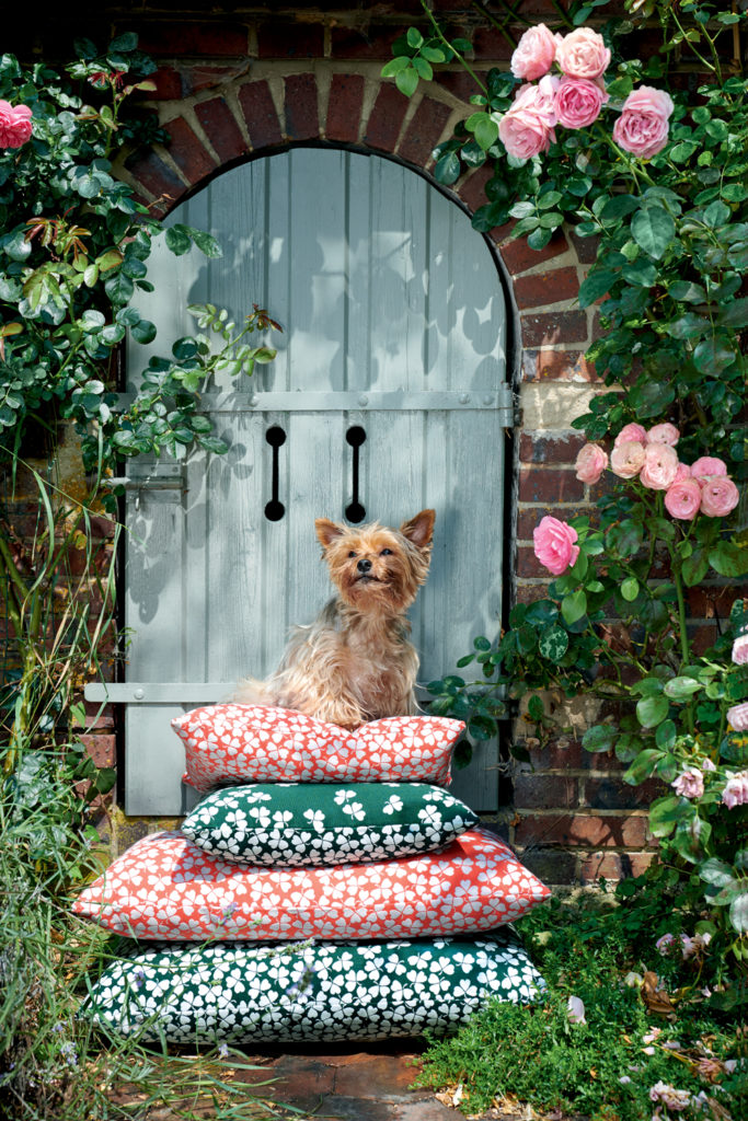 Un chien est assis sur des oreillers devant une porte.