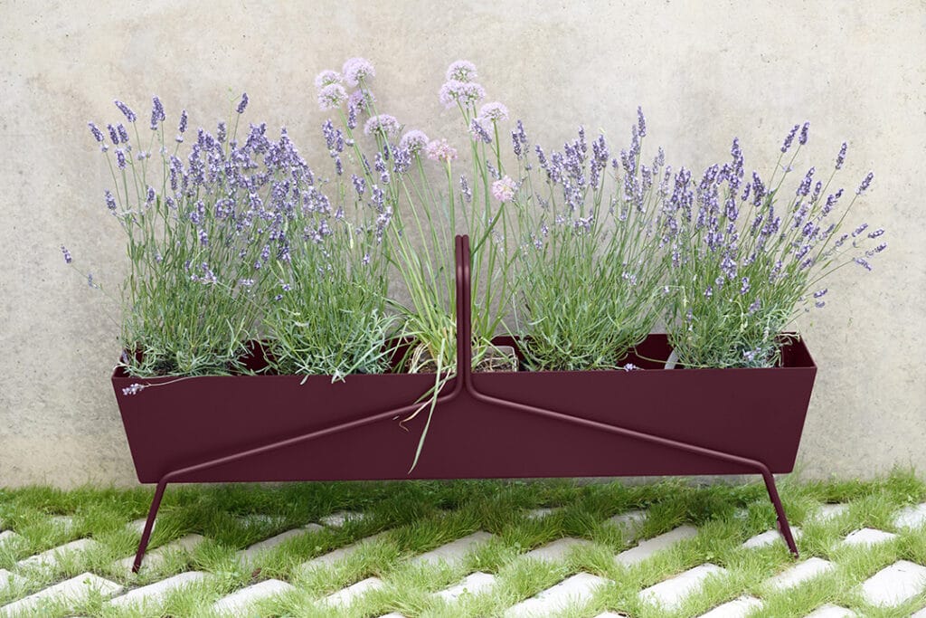 Une jardinière panier longue bordeaux avec des fleurs de lavande.