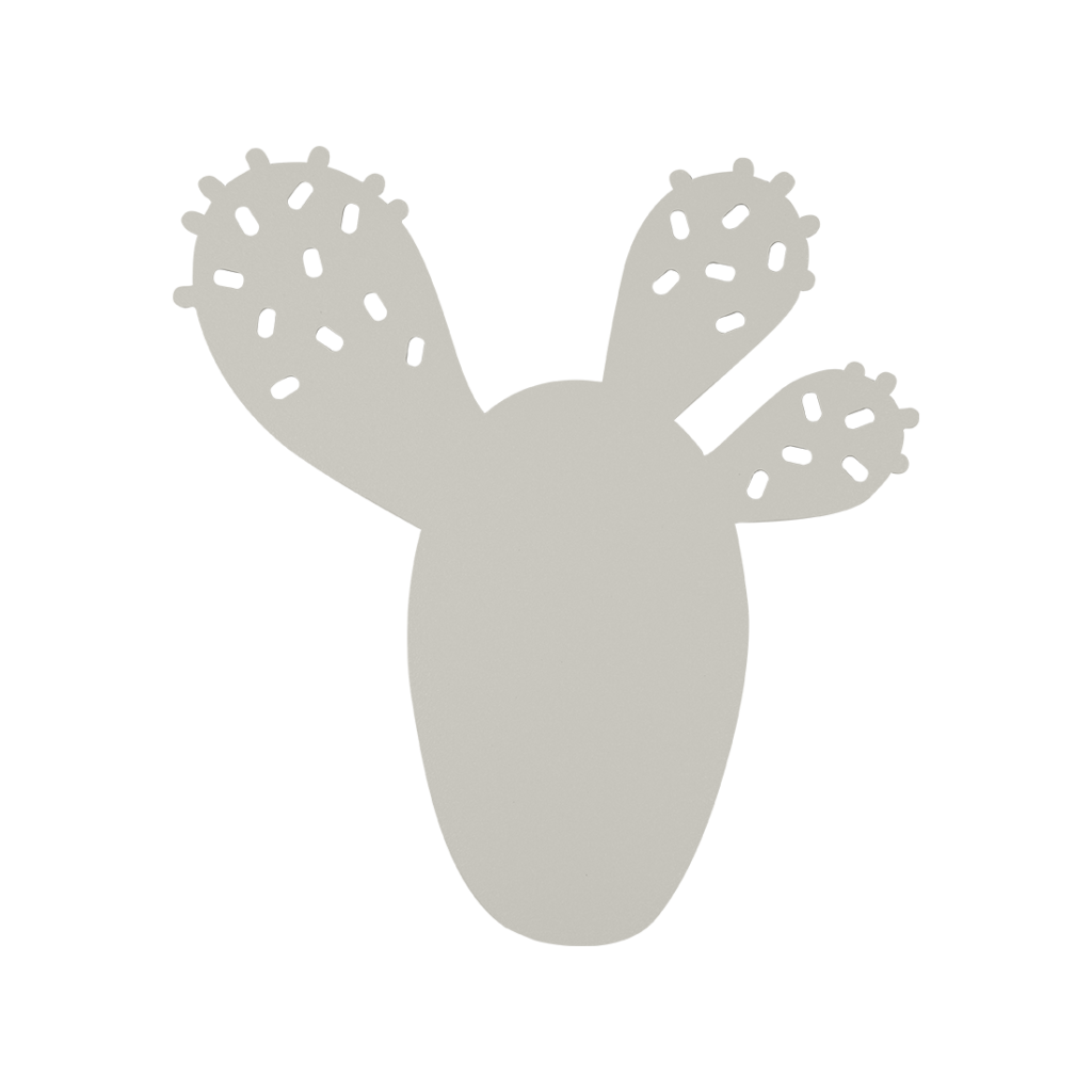 Tête de cactus gris argile sur fond blanc.