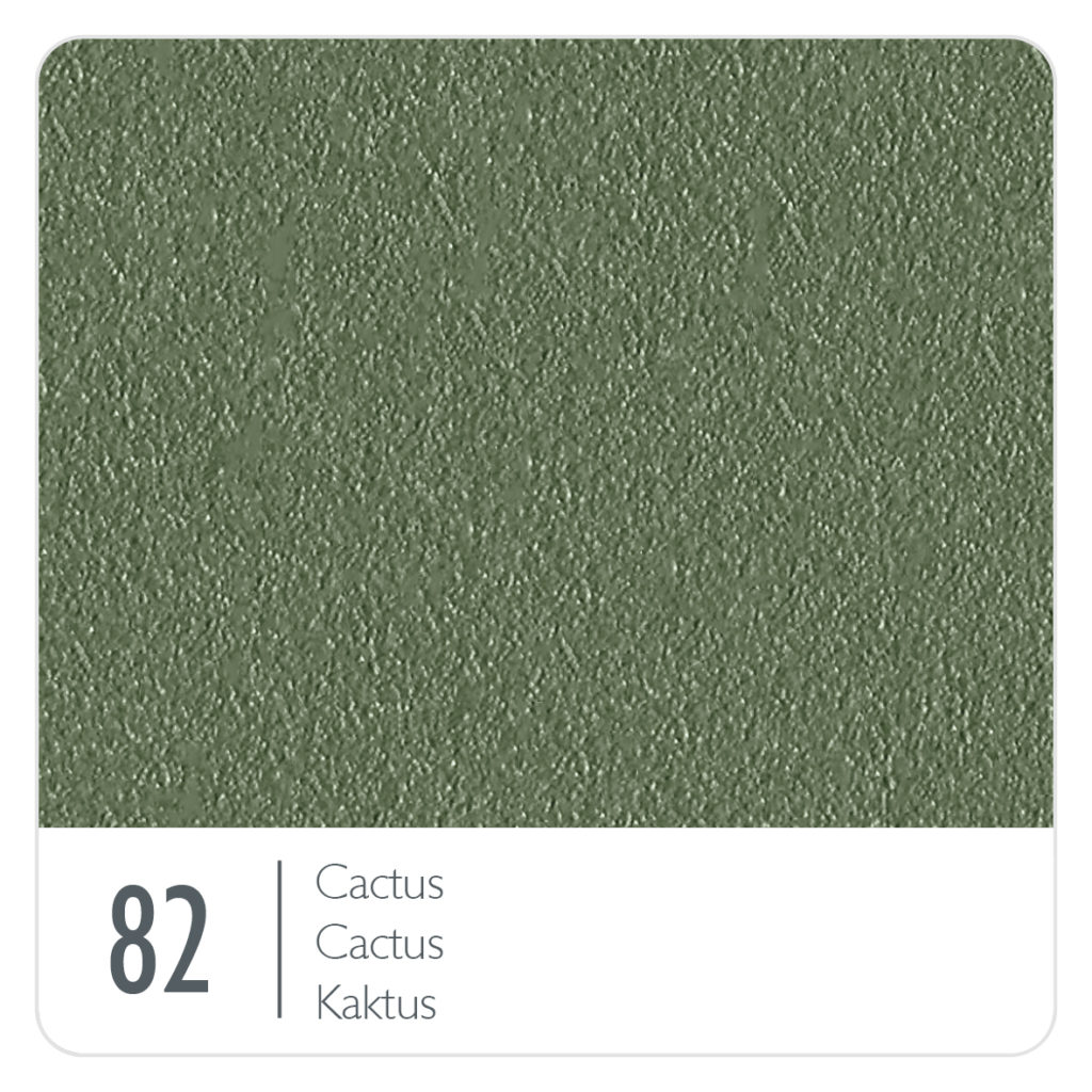 82 cactus - castus.