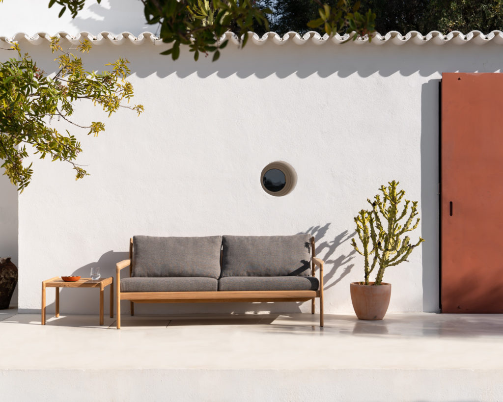 Cactus devant un mur blanc.