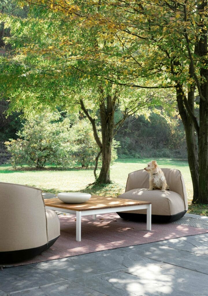 Un chat est assis sur une petite chaise longue Brioni Outdoor entourée d'une verdure luxuriante et d'une table basse blanche.