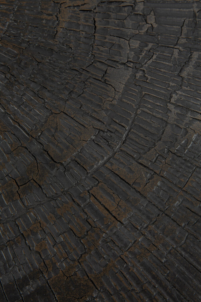 Gros plan d'une surface sombre et craquelée avec un motif circulaire, ressemblant à du bois carbonisé ou à des cernes d'arbre, comme les textures souvent vues sur la table basse Nesting - Minéraux - Tranche d'Ombre - ronde - ensemble de.