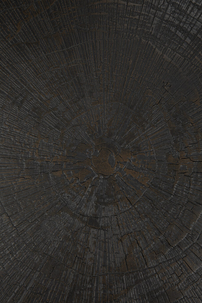 Gros plan d'une table basse gigogne - Minéraux - Tranche d'Ombre - ronde - ensemble de surfaces en bois avec des anneaux d'arbre et des fissures visibles, apparaissant altérées et vieillies. La texture suggère une coupe transversale d’un tronc d’arbre.