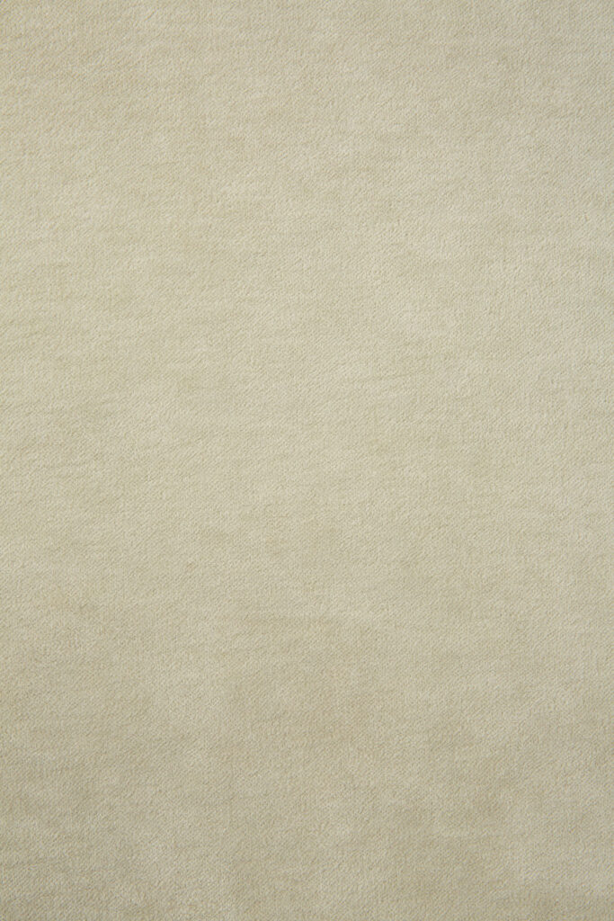 Une surface texturée beige unie rappelant le sable fin.