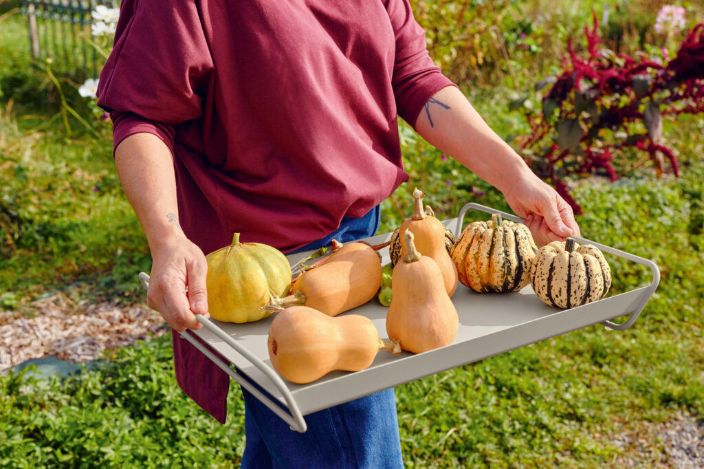 Une personne tenant un plateau contenant diverses courges et courges, dont des variétés de Bleu Acapulco, se tient à l'extérieur dans un jardin luxuriant du Plateau Alto.