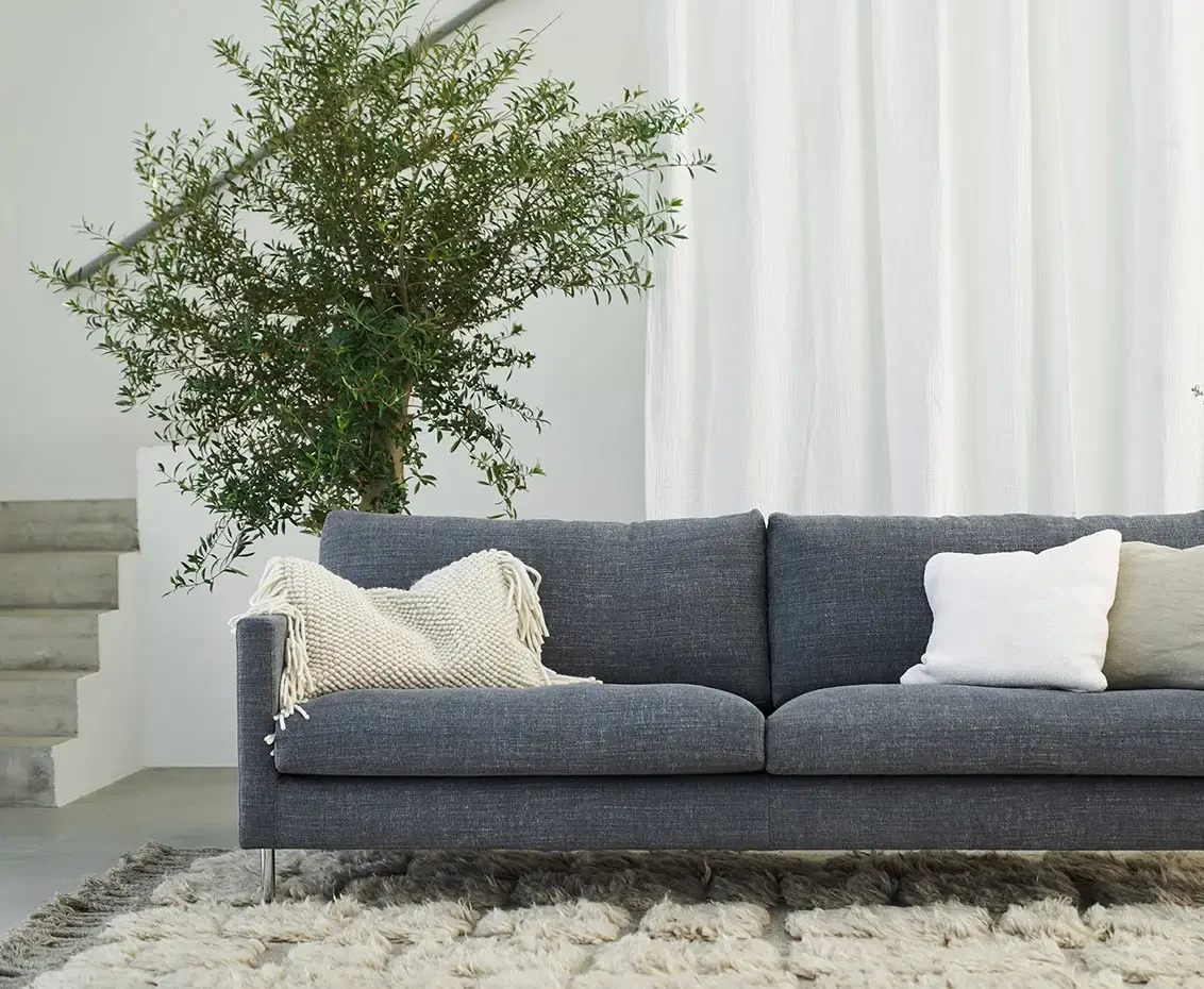 Un canapé gris avec trois coussins et une couverture est posé sur un tapis texturé. Une plante en pot et une petite table d'appoint avec un vase se trouvent à proximité, contre un mur blanc avec des rideaux.